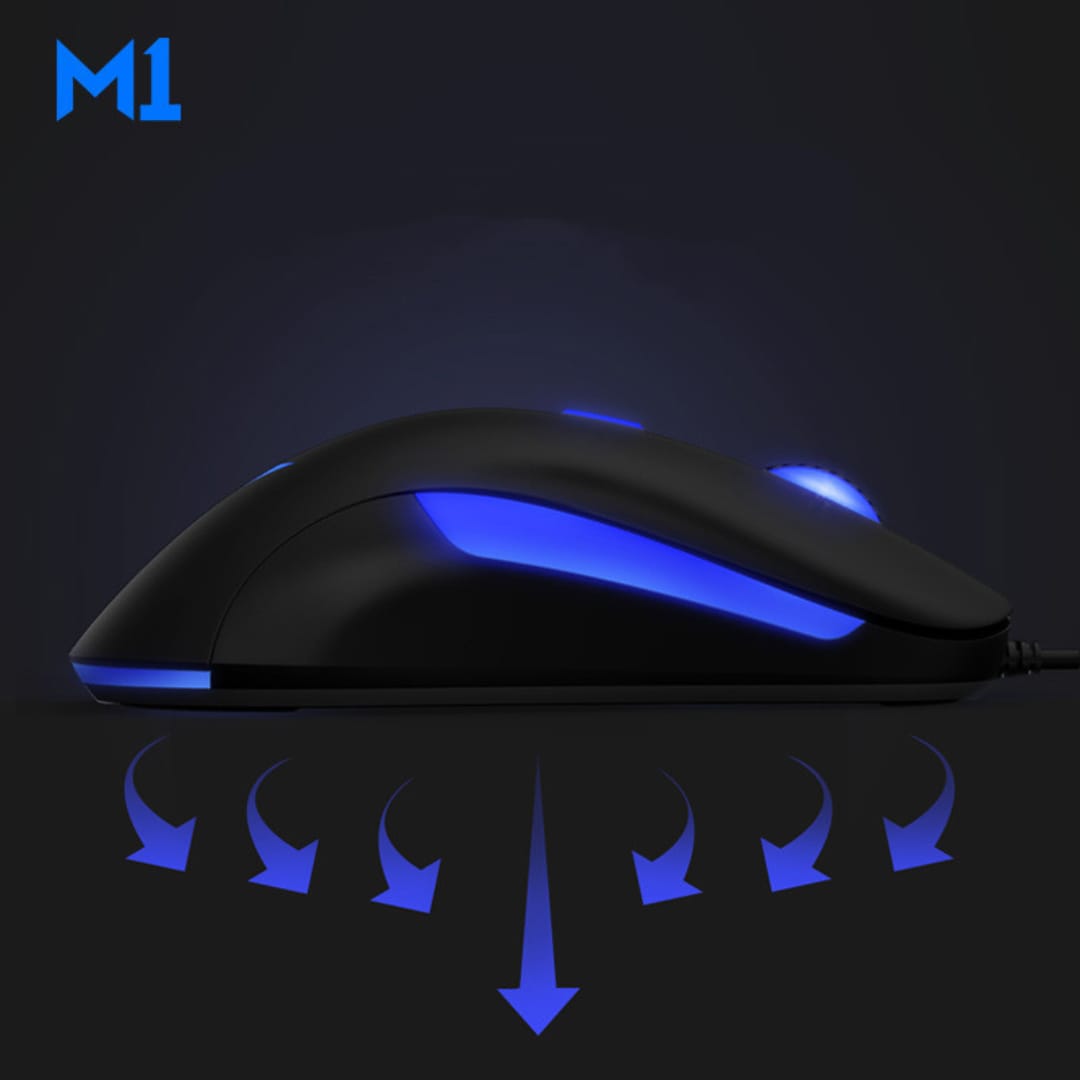 Mouse M1